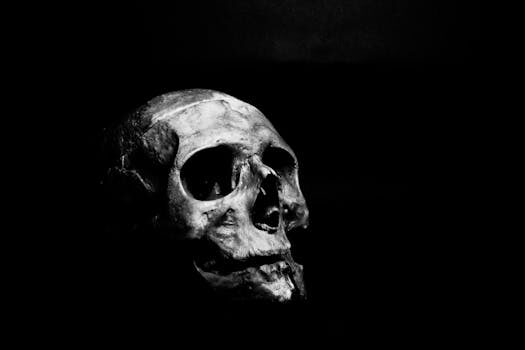 Death&#8217;s Gambit review