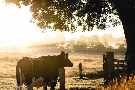 Lightyear Frontier is a cozy farming sim where you can explore vast landscapes and build your dream farm